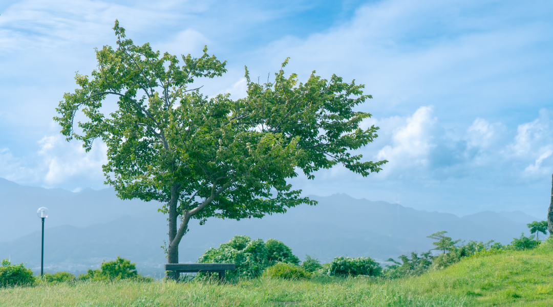 サステナビリティ